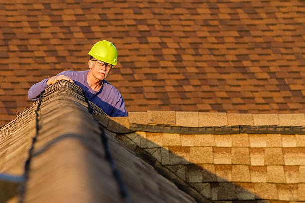Best Flat Roof Repair Services  in Llano Grande, TX