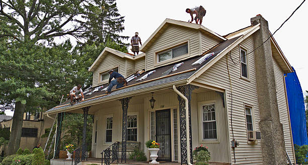 Best Roof Gutter Cleaning  in Llano Grande, TX